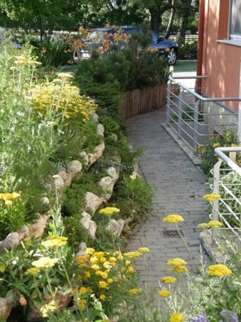 Promedicum Panzio