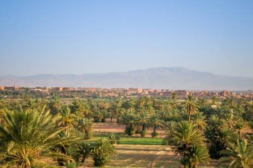 Dar Chamaa