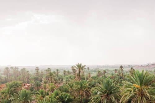 Dar Chamaa