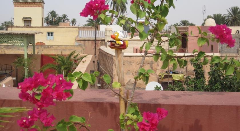 Riad Losra