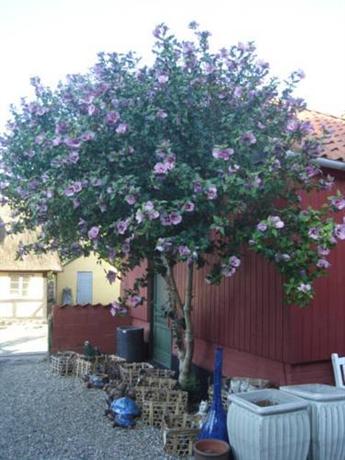 Vindeballe Kro