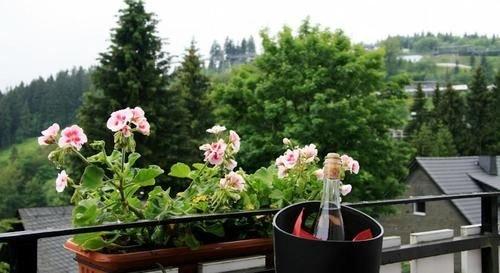 Big Mountain Hostel
