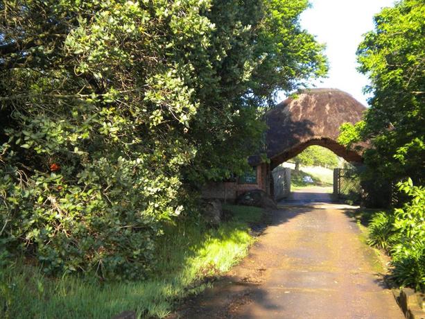 Insingizi Lodge