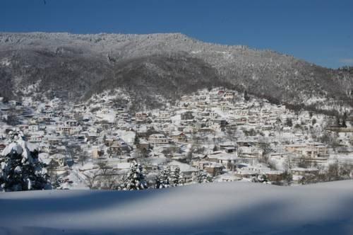 Stivakti Chalet