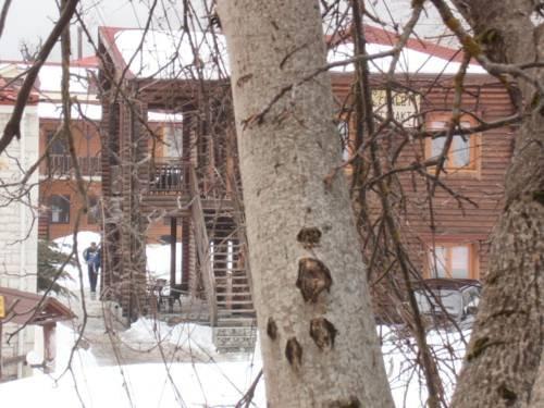 Stivakti Chalet
