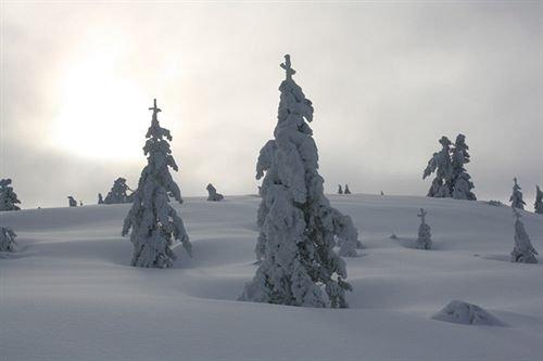 Storaas Gjestegaard