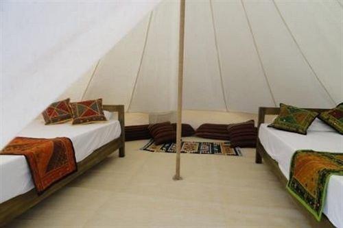 The Rock Camp - Petra