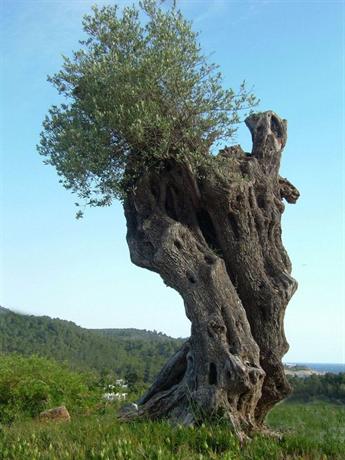 Hotel Rural Can Maries Port de Sant Miquel