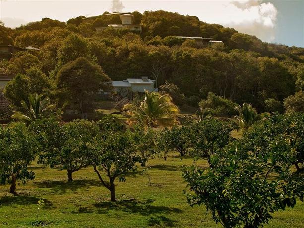 Firefly Bequia Plantation Hotel 