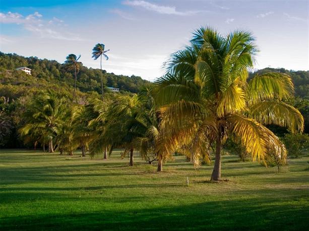 Firefly Bequia Plantation Hotel 