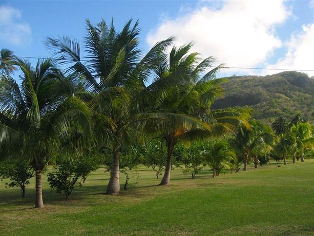 Firefly Bequia Plantation Hotel 