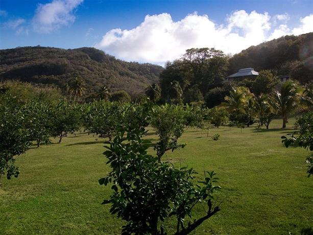 Firefly Bequia Plantation Hotel 