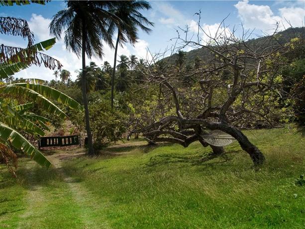 Firefly Bequia Plantation Hotel 