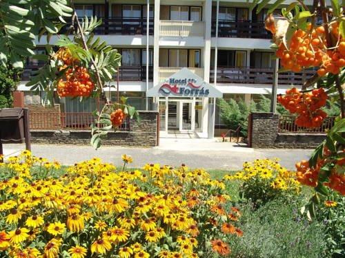 Hotel Forras Zalakaros