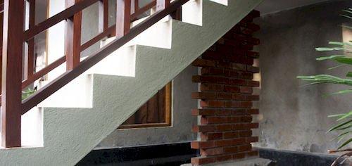 DANDELION - Palitha Guest House