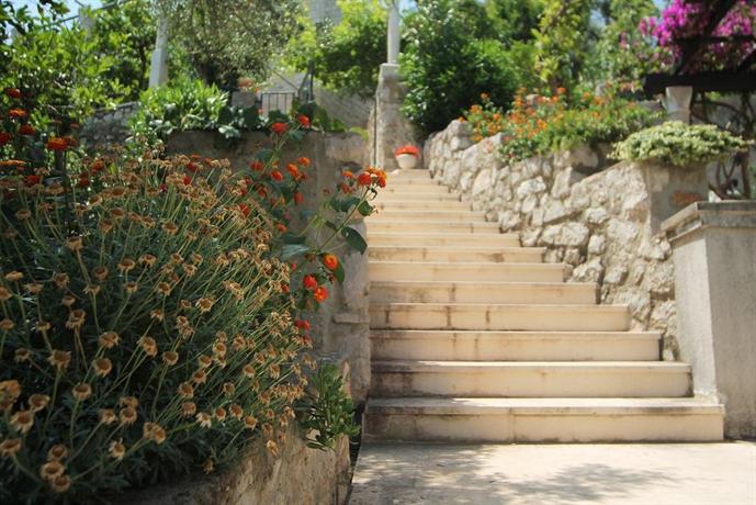 Apartments Tereza