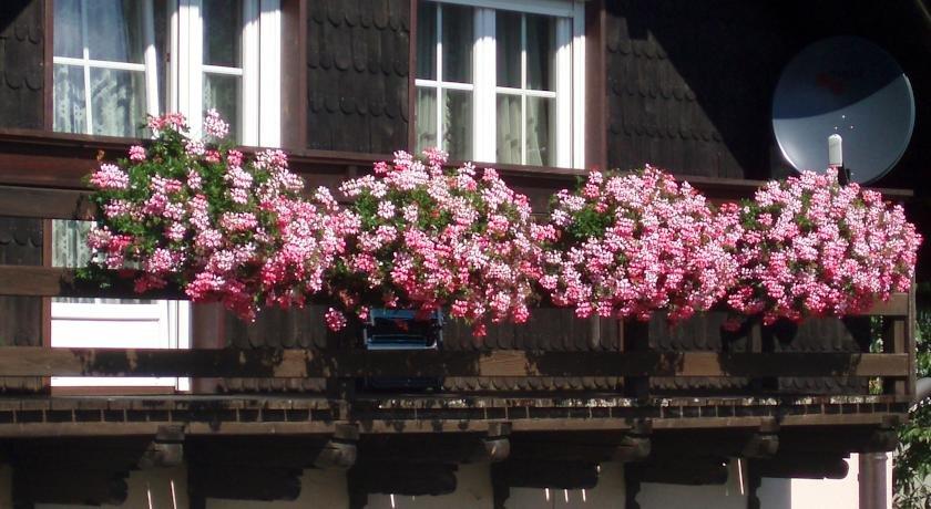 Haus Gohringer / Ferienwohnungen