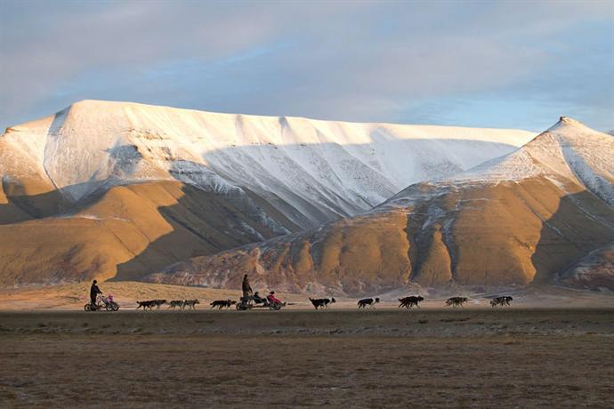 Spitsbergen Guesthouse