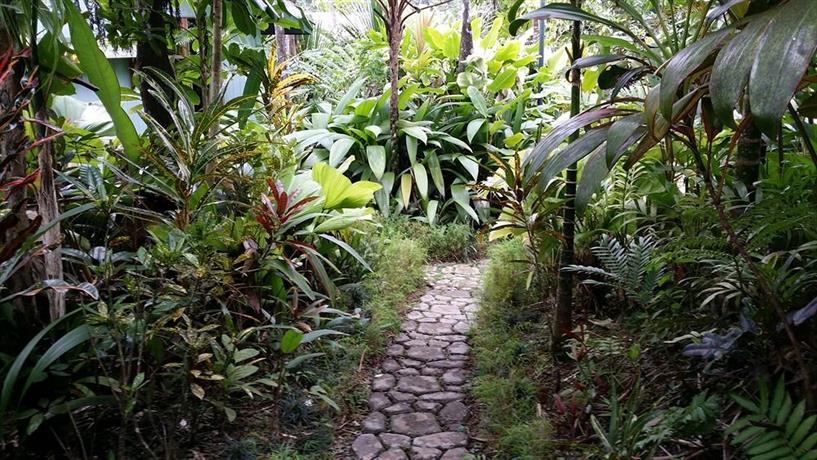 Colo-I-Suva Rainforest Eco Resort