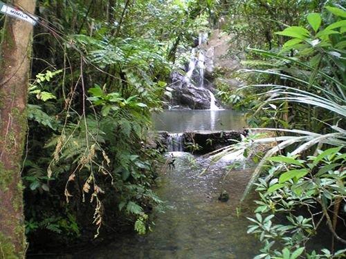 Colo-I-Suva Rainforest Eco Resort