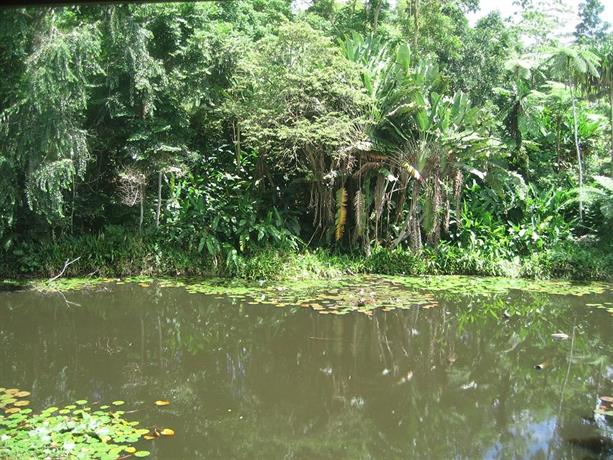 Colo-I-Suva Rainforest Eco Resort