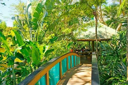 Colo-I-Suva Rainforest Eco Resort