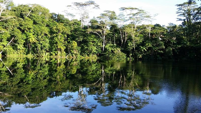 Colo-I-Suva Rainforest Eco Resort