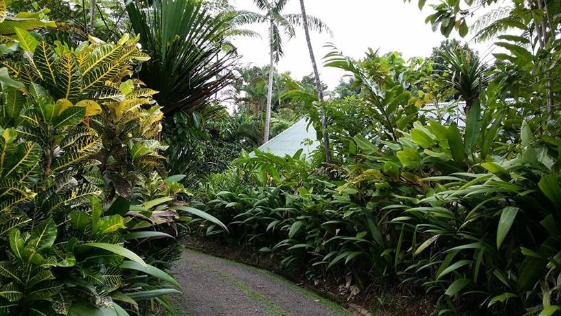 Colo-I-Suva Rainforest Eco Resort