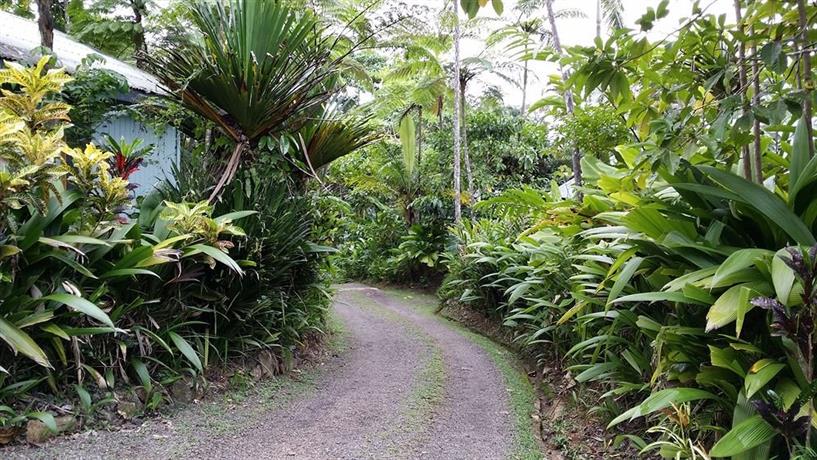 Colo-I-Suva Rainforest Eco Resort