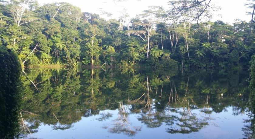 Colo-I-Suva Rainforest Eco Resort