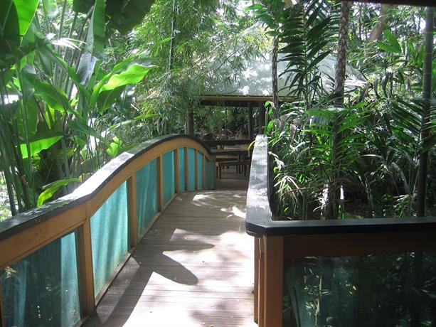 Colo-I-Suva Rainforest Eco Resort