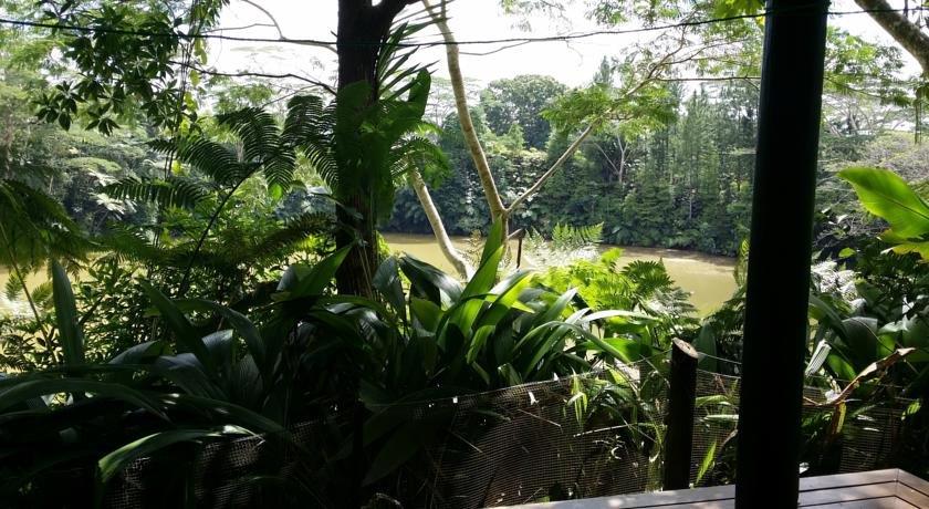 Colo-I-Suva Rainforest Eco Resort