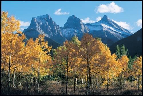 Canmore Rocky Mountain Inn