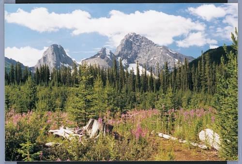 Canmore Rocky Mountain Inn