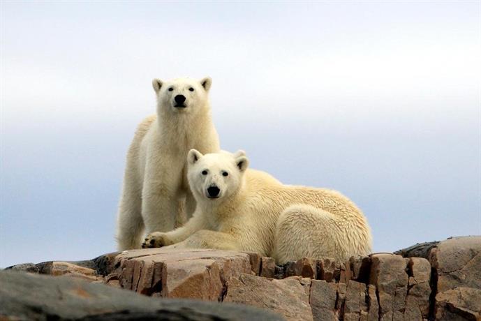 Radisson Blu Polar Hotel Spitsbergen, Longyearbyen