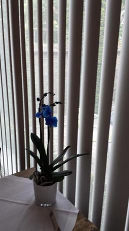 B&B Fine Fleur Bruges