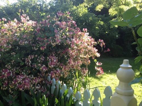 Pendower House B&B