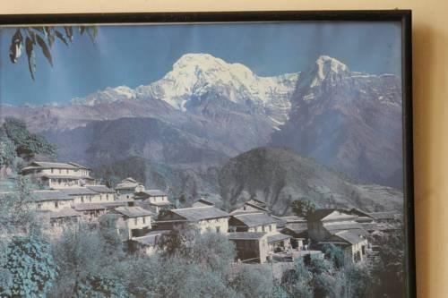 Mount Annapurna Guest House