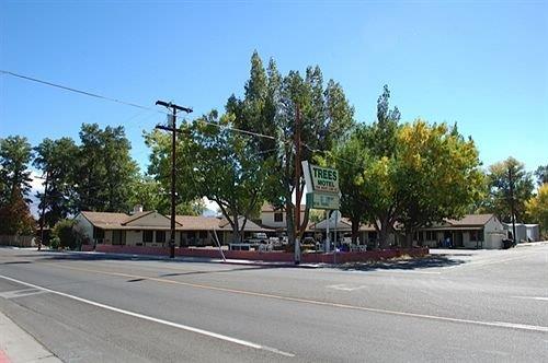 Trees Motel