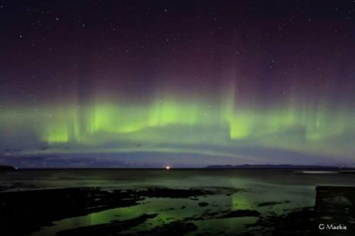 Harbour House Bed & Breakfast - Wick