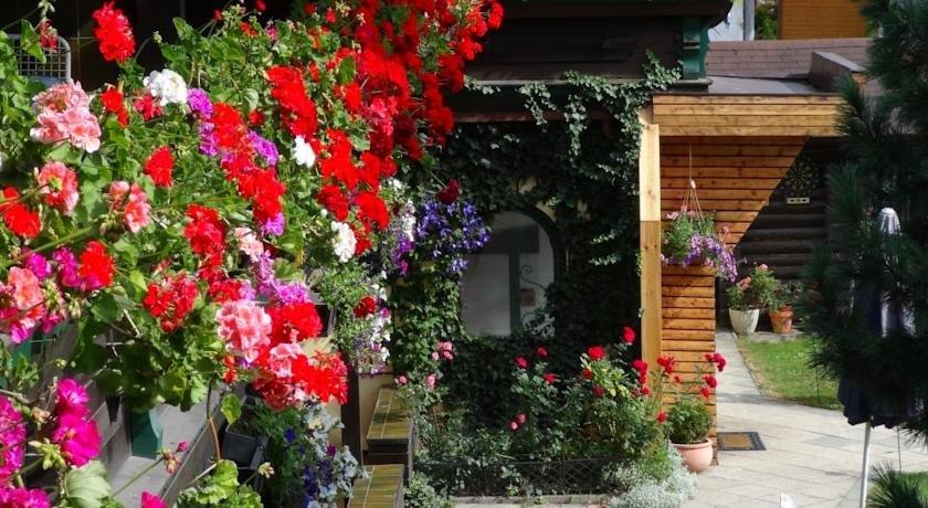 Alpen Appartement Hof