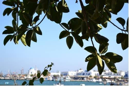 Artemis Hotel Antiparos