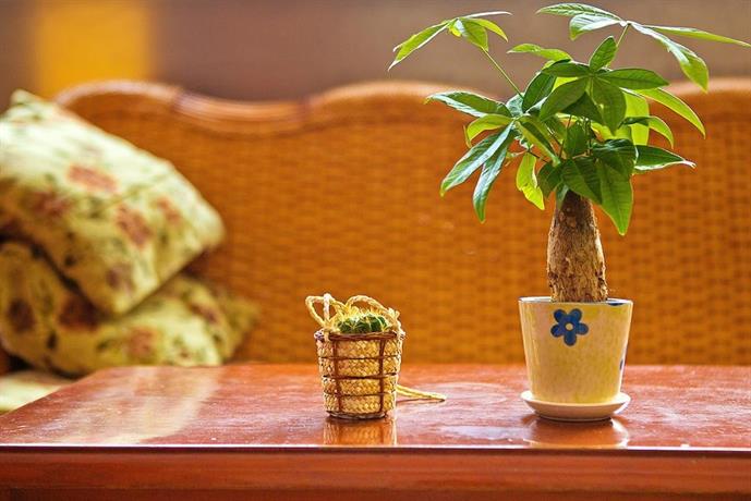 Cheng Jin Hotel