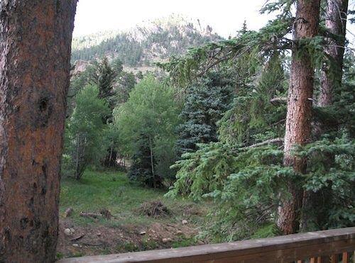 Ponderosa Lodge