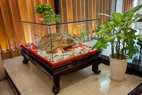 Golden Cyclo Premier Hotel Powered by Fave