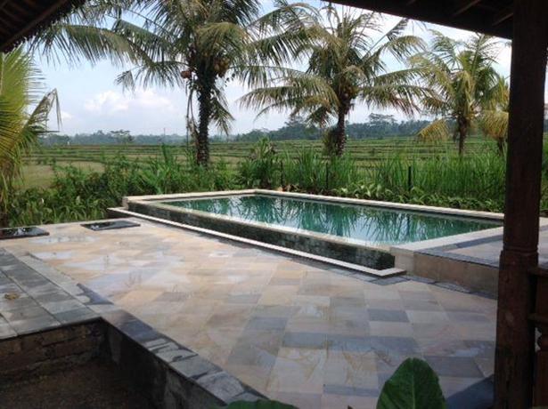 Ubud Rice Field Villa