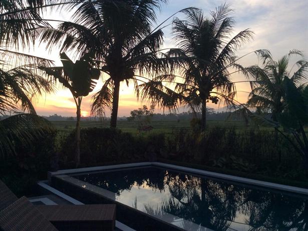 Ubud Rice Field Villa