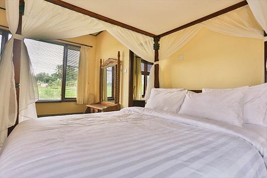 Ubud Rice Field Villa