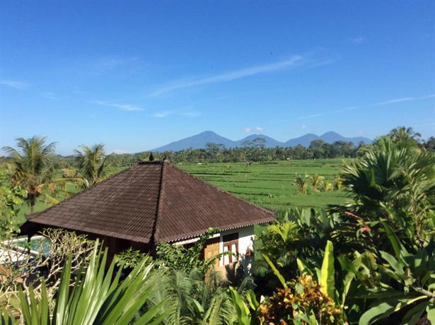 Ubud Rice Field Villa