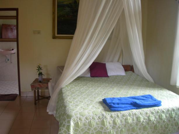 Nirwa Ubud Homestay